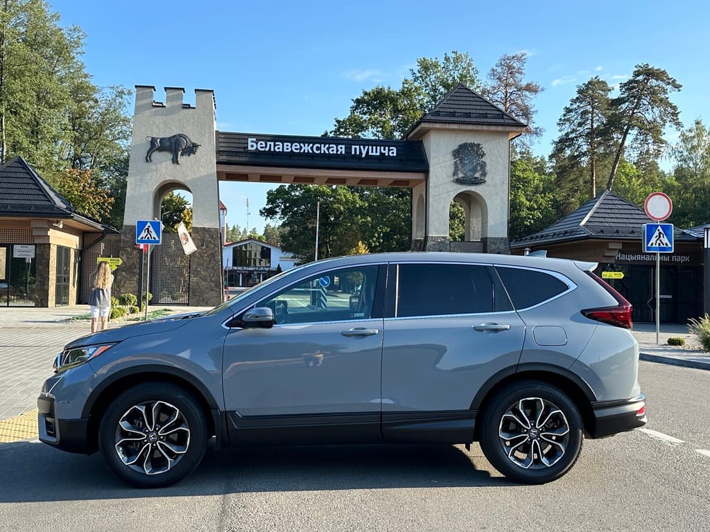 Однодневный тур из Бреста на экскурсию в Беловежскую пущу и обратно