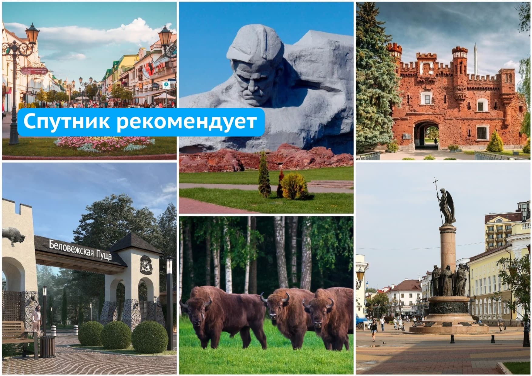 Трансфер в Брест через беловежскую пущу и обратно. Эксклюзивный тур