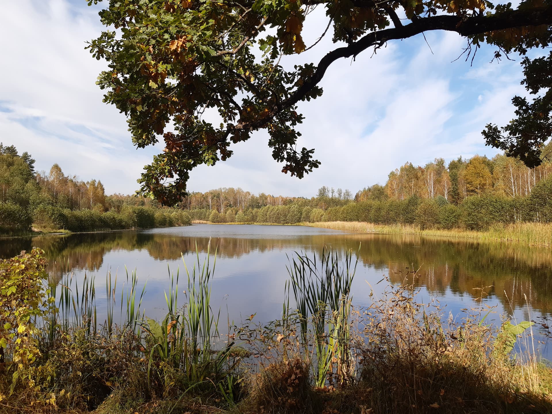 В Беловежскую пущу на майские праздники