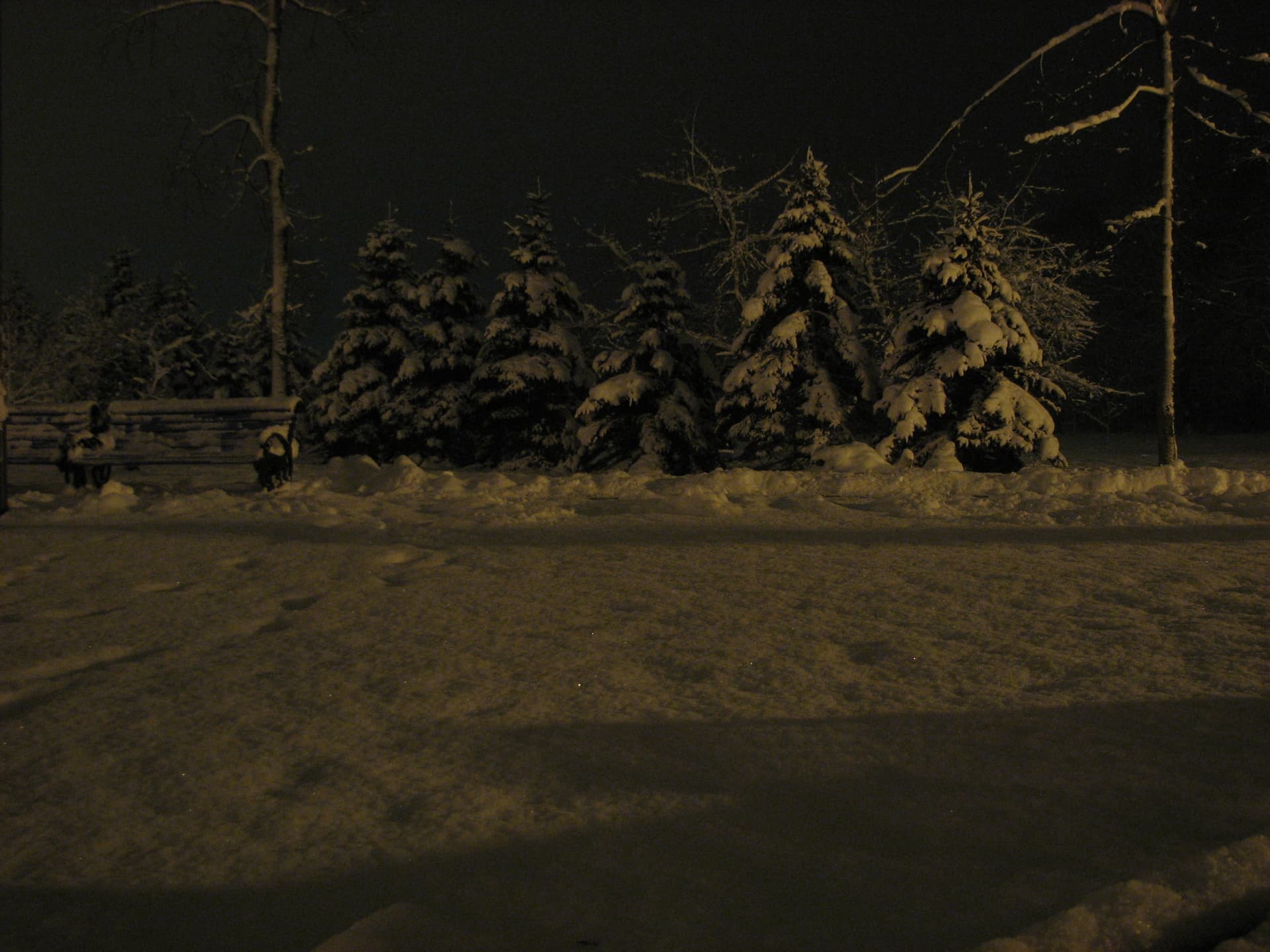 Пружанский палацик — фото 3